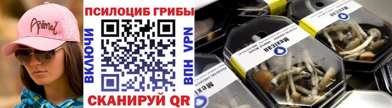 Галлюциногенные грибы Psilocybe  Купить где  Духовщина 