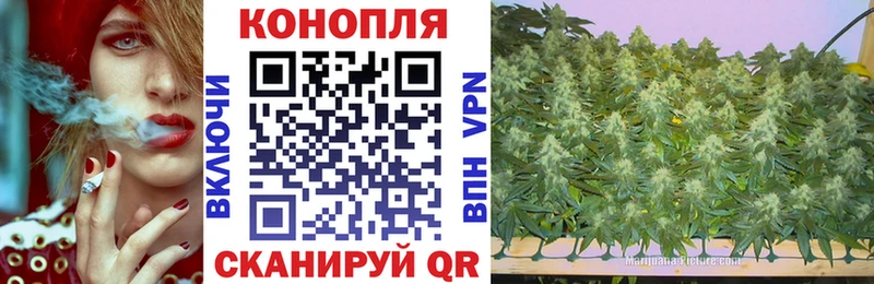 Купить  Духовщина  Шишки марихуана SATIVA & INDICA 